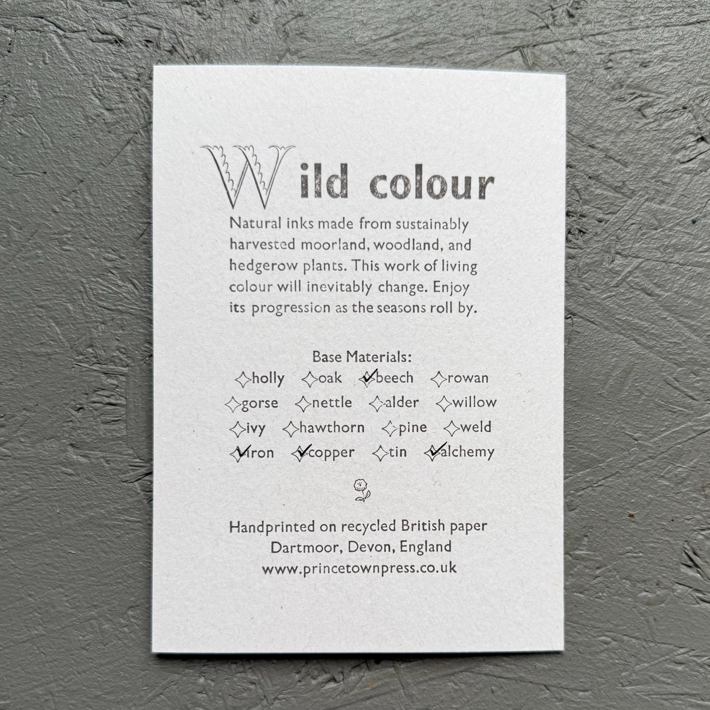 Portal Wild Colour greeting cards - set of four