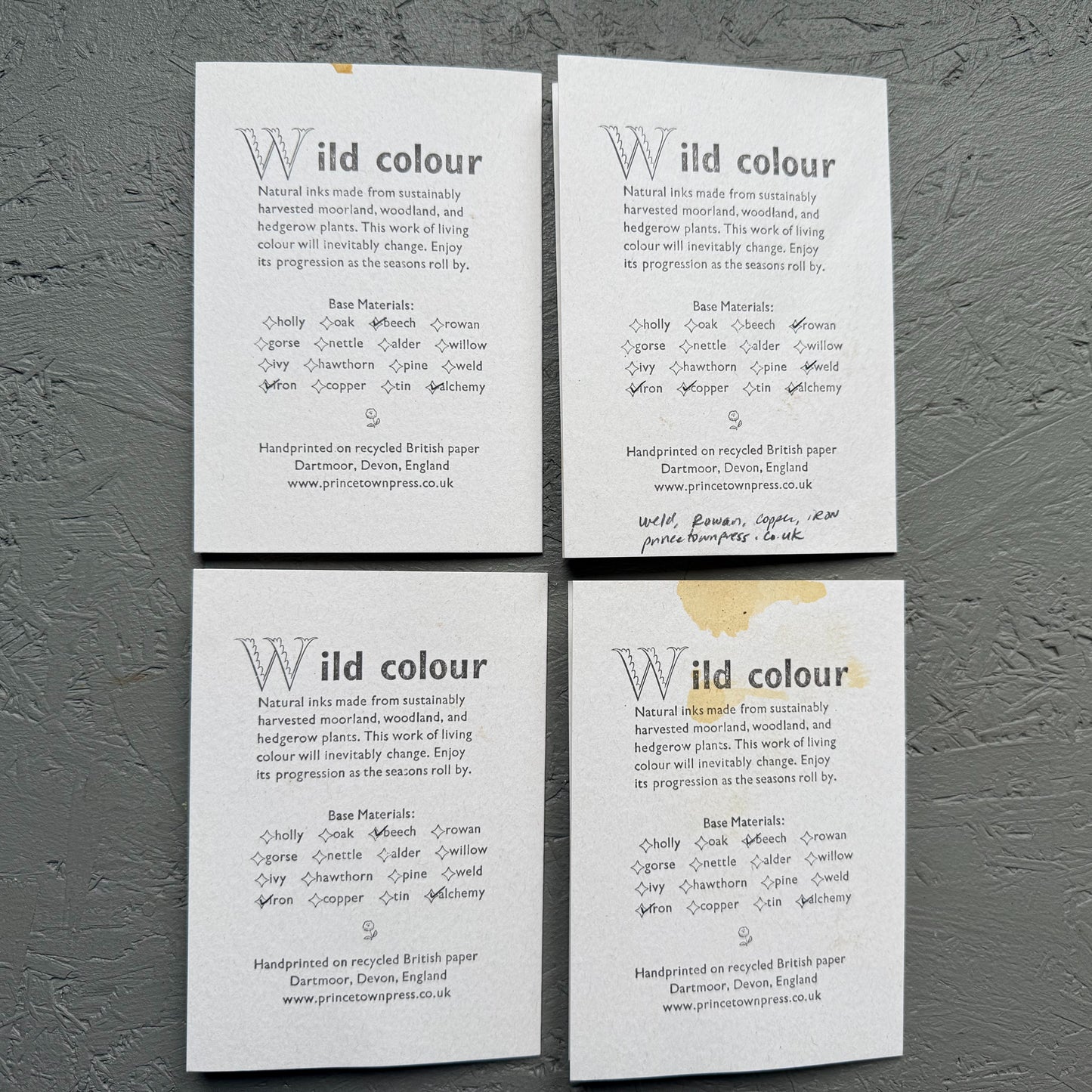 Renegade Wild Colour greeting cards - set of four