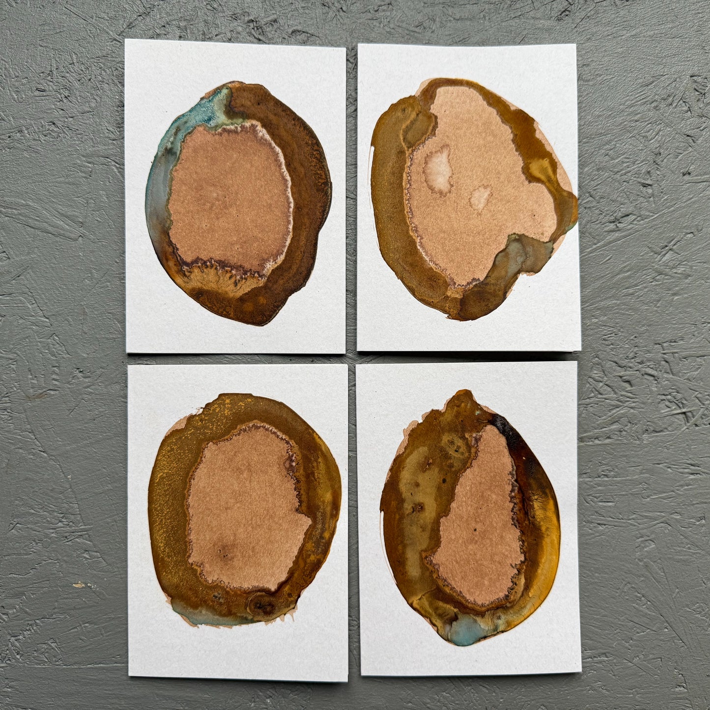 Portal Wild Colour greeting cards - set of four